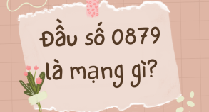 0979 là mạng gì - Khám phá bí mật đằng sau đầu số di động này