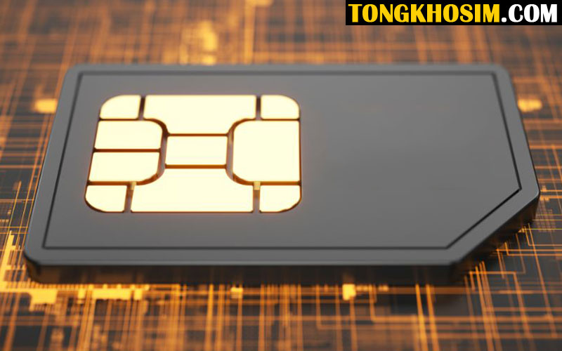 Sim Năm Sinh Là Gì - Bí Quyết Chọn Sim Mang Lại May Mắn và Thành Công